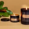 7th Avenue Hibiscus, Neroli & Sandalwood 5 oz Scented Candle -Laurel Mercantile Store 7th Aenue 5 ounce candle