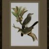 Antique Bird Trio I -Laurel Mercantile Store AnitqueBirdTrioI