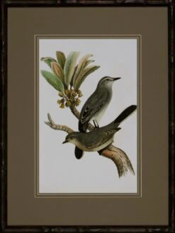 Antique Bird Trio I