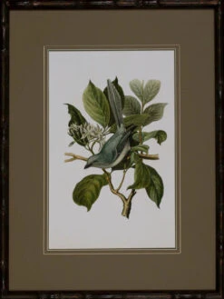 Antique Bird Trio II