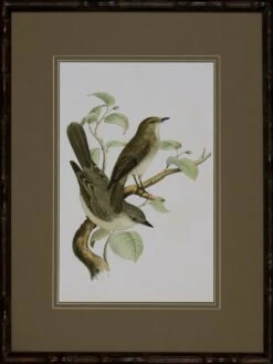 Antique Bird Trio III