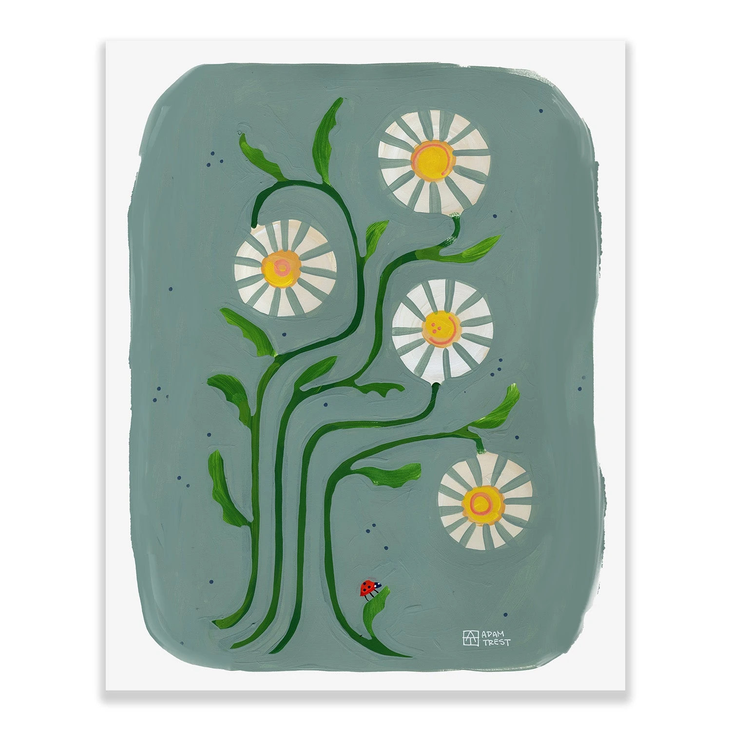 Adam Trest Backyard Bouquet | Daisies In Blue Print 3 Adam Trest Backyard Bouquet | Daisies In Blue Print