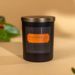 Euclid Avenue Scented Candle - Orange, Mandarin & Musk - 11oz -Laurel Mercantile Store Euclid Avenue 11 ounce candle 00001