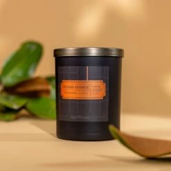 Euclid Avenue Scented Candle - Orange, Mandarin & Musk - 11oz