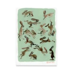 Adam Trest The Studies | Mint Chocolate Bunnies