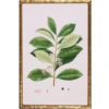 Spring Green Foliage III 2 Spring Green Foliage III -Laurel Mercantile Store ScreenShot2022 08 15at9.39.42AM
