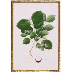 Spring Green Foliage I