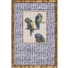 Parrot Trio Print -Laurel Mercantile Store ScreenShot2022 09 09at1.01.11PM