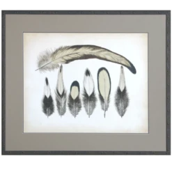 Vintage Feathers VII