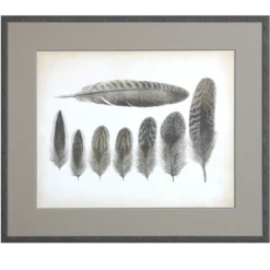 Vintage Feathers VIII