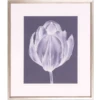Monochrome Tulip I -Laurel Mercantile Store ScreenShot2022 09 09at2.02.49PM