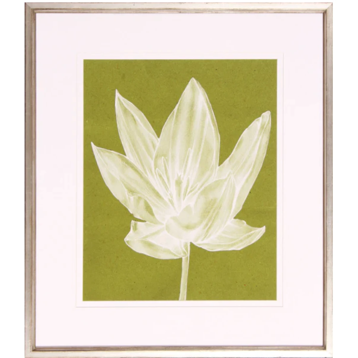 Monochrome Tulip VI 3 Monochrome Tulip VI