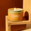 Savannah Refreshing Orange & Cucumber Scented Candle - 5 oz 1 Savannah Refreshing Orange & Cucumber Scented Candle - 5 oz -Laurel Mercantile Store Travel Savannah 5 ounce candle 00002