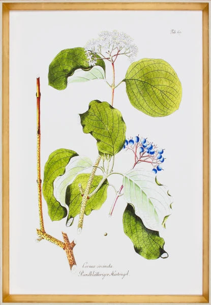 Tree In Bloom II 3 Tree In Bloom II