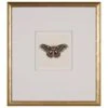 Watercolor Moth III -Laurel Mercantile Store Watercolor Moth III
