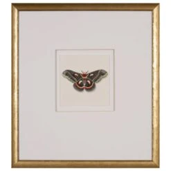 Watercolor Moth III