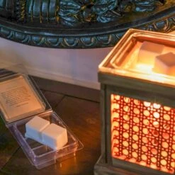 Gardiner Park Wax Melt - Signature Summer Citrus Scent -Laurel Mercantile Store Wax Melts 00005 17