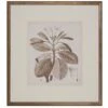 Antique Sepia Botanical VIII -Laurel Mercantile Store botanicals9