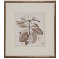 Antique Sepia Botanical VIII