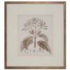 Antique Sepia Botanical III -Laurel Mercantile Store botanticals3