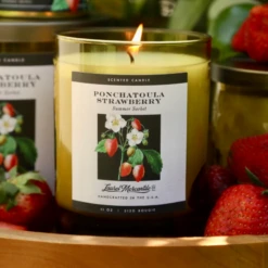 Ponchatoula Strawberry Hand-Poured Candle - 11 oz Summer Sorbet