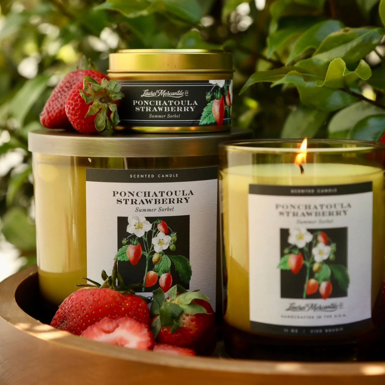 Ponchatoula Strawberry Hand-Poured Candle - 11 oz Summer Sorbet 5 Ponchatoula Strawberry Hand-Poured Candle - 11 oz Summer Sorbet - Image 3